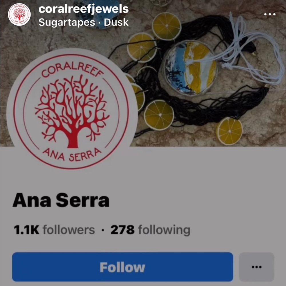 Meet your Posher, Ana